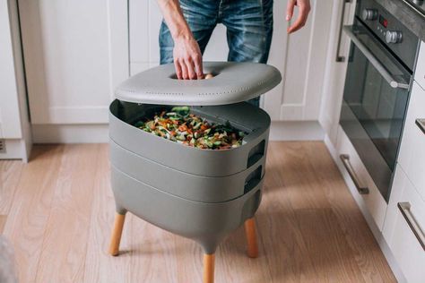 Indoor Compost Bin: 7 Best Buys For A Waste Free Household Indoor Compost Bin, Indoor Compost, Red Wiggler Worms, Red Wigglers, Compost Bin Diy, Worm Bin, Landfill Waste, Worm Composting, Worm Farm