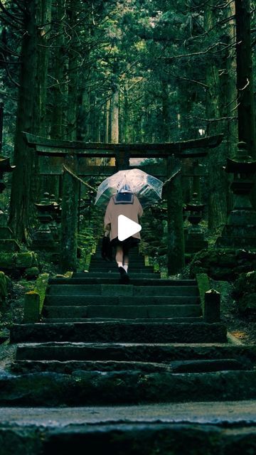 KEISUKE HARADA on Instagram: "綠

◻︎camera : sony α7SIII
◻︎lens : FE 24-70mm f2.8 gm ii

#上色見熊野座神社 
#japantrip #shrine 
#alpha_newgeneration 
#portrait 
#instagramjapan 
#cinematic #cinematicvlog 
#reels #reelsinstagram" Camera Sony, Video Film, Video Content, Film, On Instagram, Instagram