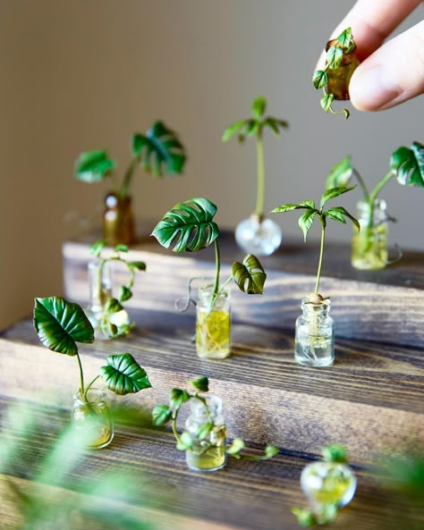 Lemon Miniatures, Mini Lemon Tree, Mini Plants Diy, Propagated Plants, Clay Plants, Plants In Jars, Miniature Stuff, Dollhouse Garden, Tiny Jars