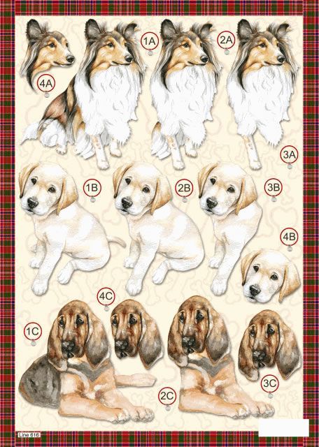 Cardmaking Printables, 3d Sheets, Felt Animal Patterns, Decoupage Printables, Dog Died, Stitching Cards, 3d Decoupage, Dog Cuts, Image 3d