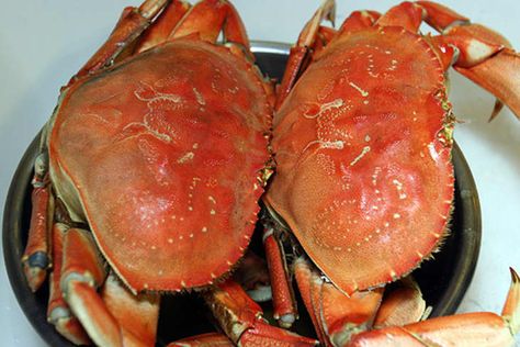 How To: Cook And Clean Dungeness Crab: gallery image 1 Seafood Thanksgiving, Cooking Dungeness Crab, Dungeness Crab Legs, Dungeness Crab Recipes, Cooking Crab, Crab Legs Recipe, Koh Kood, How To Cook Liver, Crab Boil