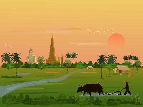 Farmer Background, Farm Background, Farm Vacation, Landscape Farm, Paddy Field, Sun Background, Basket Drawing, Rice Field, Motion Poster