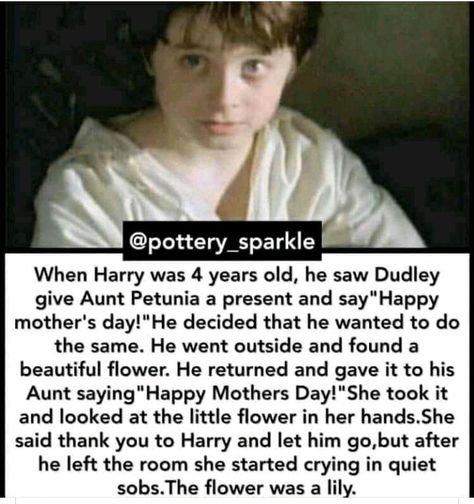 Harry Potter Childhood, Harry Potter Parody, Lucario Pokemon, Always Harry Potter, Funny Harry Potter Jokes, Harry Potter Feels, Harry Potter Puns, Harry Potter Comics, Harry Potter Headcannons