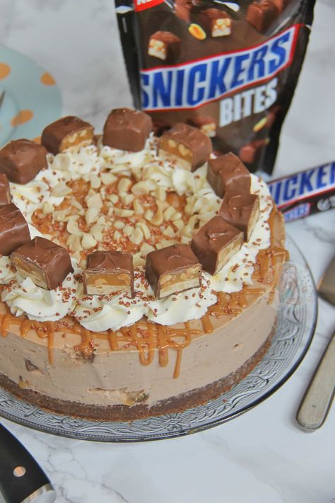 No-Bake Snickers Cheesecake! Snickers Cheesecake Recipe, Snickers Torte, Chocolate Caramel Cheesecake, Thanksgiving Cheesecake, Cheesecake Pops, Snickers Cake, Lemon And Coconut Cake, Snickers Cheesecake, Janes Patisserie