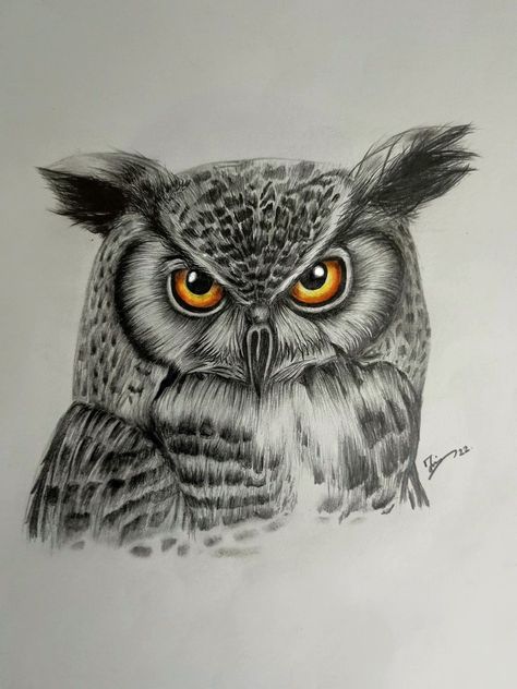 Owl Pencil Sketch, Infinity Tattoo With Feather, Owl Tattoo Drawings, Dragon Tattoo Ideas, Owl Sketch, Owl Artwork, Realistic Sketch, Clever Tattoos, Dragon Tattoos