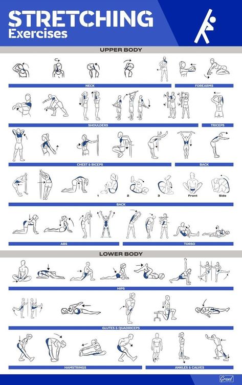 Poster Exercise, Exercise Chart, Fitness Poster, Stretching Exercise, Gym Antrenmanları, Gym Poster, Home Gym Exercises, Gym Workout Chart, Workout Posters