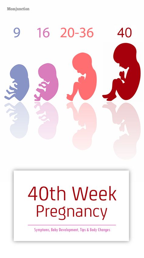 40th Week Pregnancy: Symptoms, Baby Development, Tips And Body Changes Baby Development Chart, Stages Of Baby Development, Baby Development Milestones, 33 Weeks Pregnant, 34 Weeks Pregnant, Baby Development Activities, 31 Weeks Pregnant, 37 Weeks Pregnant, First Time Pregnancy