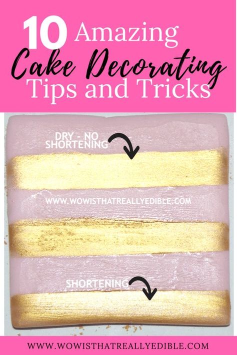 Cake Decorating Tips And Tricks, Amazing Cake Decorating, Cake Techniques, Novelty Birthday Cakes, Decorating Tips And Tricks, Baking Tips And Tricks, Cake Piping, Piping Techniques, Cake Tips