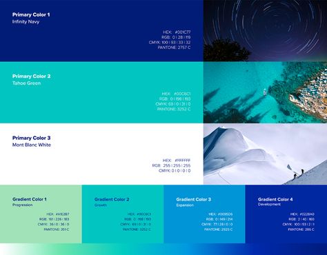 Aqua Color Palette, Hospital Signage, Change And Growth, Green Branding, Cat Logo Design, Marine Colors, Web Colors, Color Plan, Color Palette Challenge