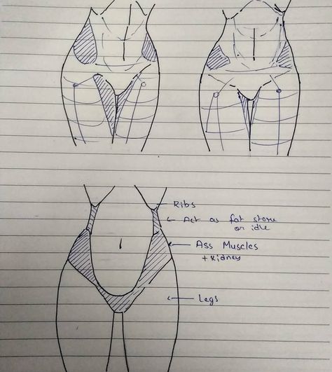 Hips Anatomy, Draw Hips, Thighs Drawing, Leg Reference, Art Improvement, Posing Reference, Women Anatomy, Weight Gain Journey, Drawing Women