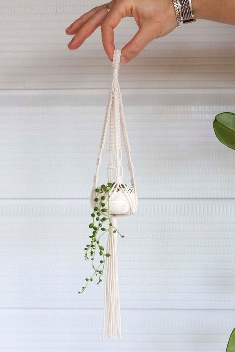 Macrame Plant Hanger Ideas, Plant Hanger Ideas, Vintage Macrame Plant Hanger, Hanger Ideas, Vintage Macrame, Hanger Crafts, Macrame Planter, Makramee Diy, Diy Macrame Plant Hanger