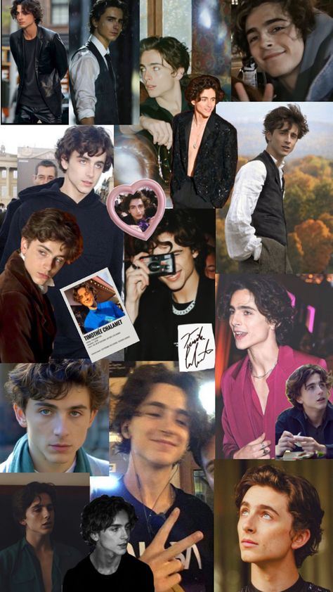 Timothee Chalamet Aesthetic Poster, Timmy Chalamet Wallpaper, Timothee Chalamet Shirtless Pics, Tim Other Chalamet, Timothee Chalamet Lockscreen, Timothee Chalamet Collage, T Chalamet, Timothee Chalamet Wallpaper, Chalamet Timothee