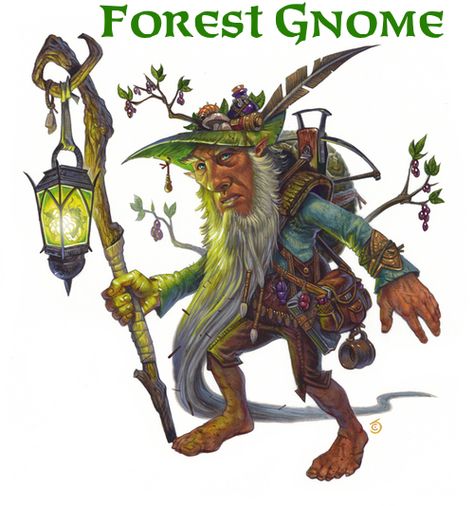 Forest Gnome Druid, Druid Staff, Forest Gnome, Dungeons And Dragons Art, Modern Fantasy, Mystical Creatures, Arte Fantasy, Fantasy Rpg, Fairy Art