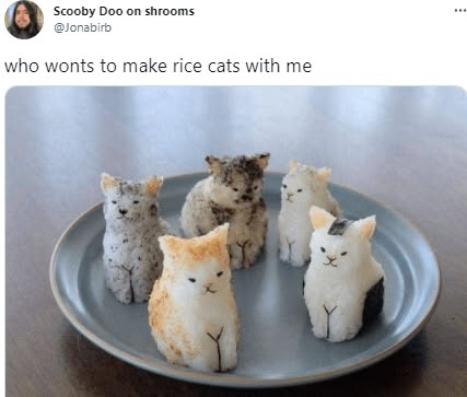 Rice Cats, Kawaii Food Recipe, Cute Animal Food, Cute Recipes, Kotak Bento, Cute Cooking, Cat Figurines, Bento Recipes, Think Food