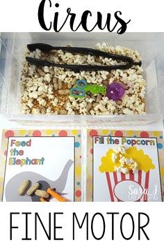 Carnival Theme Sensory Bin, Carnival Fine Motor Activities, Circus Sensory For Toddlers, Circus Fine Motor Activities, Circus Sensory Activities, Carnival Sensory Bin, Popcorn Sensory Bin, Circus Sensory Bin, Circus Sensory