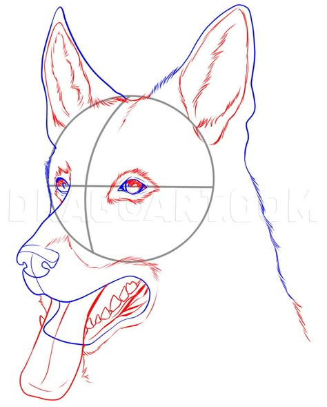 German Shepherd Drawing Easy, German Shepherd Painting, Draw Dogs, Dog Drawing Tutorial, Dogs Drawing, Dog Drawing Simple, Easy Sketches, Dog Sketch, Shepherd Dogs