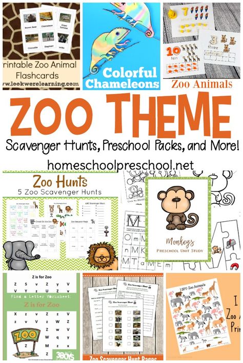 Zoo Preschool Theme, Zoo Theme Activities, Zoo Printables, Zoo Activities Preschool, Zoo Lessons, Zoo Animal Activities, Preschool Homework, Preschool Zoo Theme, Zoo Preschool