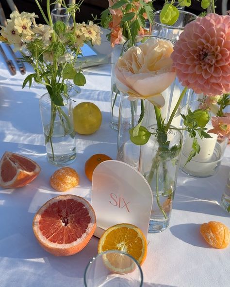 Can't get over with this citrus wedding 💛🧡🍊🍋 Mountain Terrace: @mountainterrace Planner: @aboutusevents Photographer:… | Instagram Summer Citrus Wedding Decor, Citrus Wedding Reception, Citrus Wildflower Wedding, Tablescape With Oranges, Citrus Table Decor, Citrus Wedding Decor, Citrus Wedding Theme, Mountain Terrace, Citrus Garden