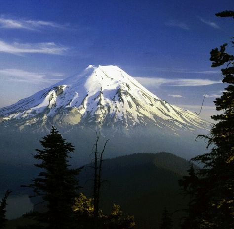 Mount Saint Helens, 1978       by David Bruer Washington Scenery, Mt Saint Helens, Mount Saint Helens, Mt St Helens, Mount St Helens, Oregon Vacation, Saint Helens, Western Washington, Newspaper Headlines