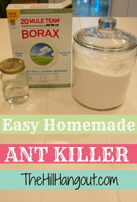 Homemade Ant Killer, Homemade Detergent, Ant Killer, Flea Prevention, Best Pest Control, Rash Cream, Yl Oils, Yl Essential Oils, Homemade Products