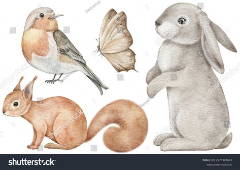 Watercolor Woodland Animals Robin Bird Rabbit Stock Illustration 2275303603 | Shutterstock Watercolor Woodland Animals, Safari Kids, Watercolor Woodland, Nursery Stickers, Nursery Rooms, World Map Wallpaper, Wall Furniture, Roe Deer, Map Wallpaper