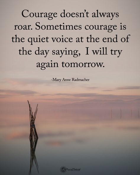 Power of Positivity on Instagram: “TAG someone who needs to read this. Courage doesn't always roar. Sometimes courage is the quiet voice at the end of the day saying, I will…” 2am Thoughts, Tomorrow Is A New Day, Good Night Friends, Peace Quotes, Positive Vibes Only, Power Of Positivity, Yet To Come, Try Again, A Quote