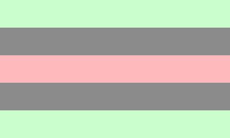 Attraction Flags, Aro Spectrum, Aroace Spectrum, Aromantic Spectrum, Sexuality Flags, Ed Sheeran Facts, Lgbt Flags, Lgbt Flag, Pride Colors