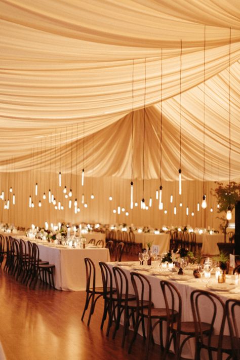 use our site for any color party linens with free shipping both ways. asaplinen.com We post what we have in stock Edison Bulb Wedding, Romantic Outdoor Wedding, Edison Lighting, Wedding Tent, Garden Party Wedding, Floating Candles, Banquet Hall, Love Is In The Air, Wedding Lights