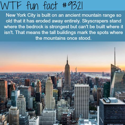 New York City - WTF fun facts New York Facts, New York Funny, Facts Funny, History Facts Interesting, Mind Blowing Facts, Wow Facts, Daily Facts, Unbelievable Facts, Real Facts