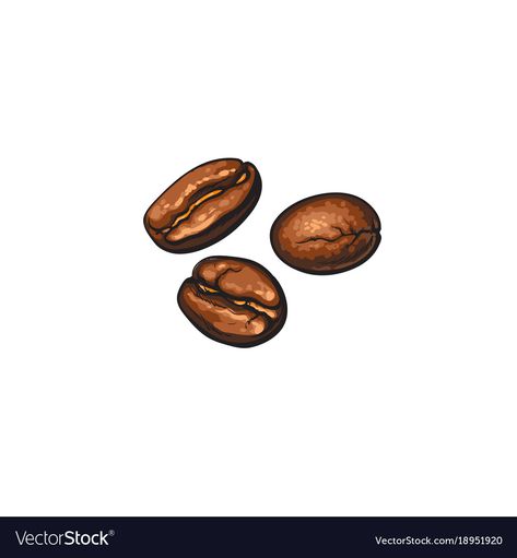 Coffee Been Drawing, Coffee Beans Drawing, Coffee Bean Drawing, Coffee Bean Sketch, Coffee Bean Line Art, Coffee Bean Cartoon, Coffee Bean Plant Drawing, Coffee Bean Illustration, Coffee Beans Illustration