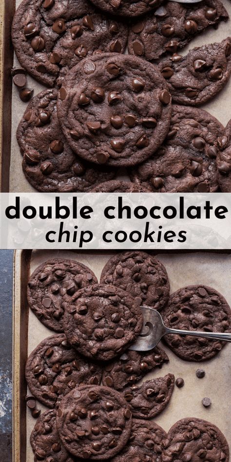 Chocolate Cookie Recipes Easy, Fudge Cookie Recipe, Double Chocolate Chip Cookie Recipe, Double Chocolate Chip Cookie, Double Chocolate Cookies Recipe, Cookie Recipes Chewy, Chewy Chocolate Cookies, Chocolate Cookie Dough, Easy Chocolate Chip Cookies