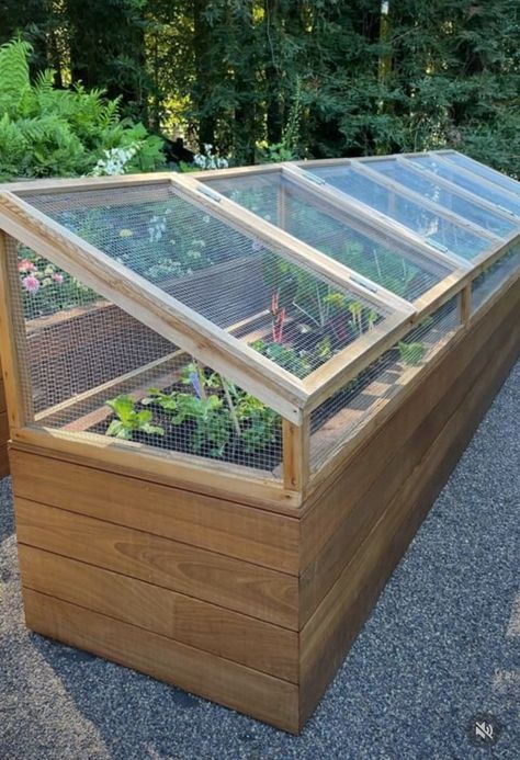 Backyard Farm, Too Real, Backyard Greenhouse, Veg Garden, Home Vegetable Garden, Greenhouse Gardening, Vegetable Garden Design, Long Run, Extra Mile