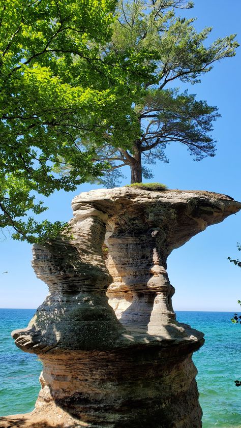 See more photos! Best hikes in Michigan! Ideas of things to do on a Michigan summer vacation road trip. midwest great lakes vacations, best places to visit Hike Pictures, Michigan Hiking, Munising Michigan, Up Michigan, Tree Growing, Best Vacation Destinations, Lake Vacation, Adventure Travel Explore, Michigan Travel