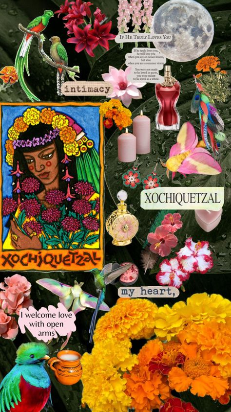 #xochiquetzal #mexica #goddessoflove Aztec Goddess, Goddess Aesthetic, Aztec Tattoo, Magick Book, Goddess Of Love, Art Wallpaper Iphone, Phone Wallpaper Images, Memento Mori, Dia De Muertos