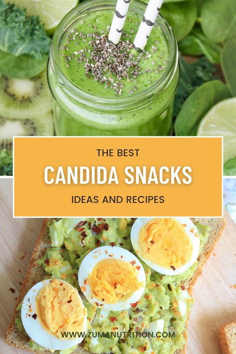 Snack Candida Diet recipes Candida Overgrowth Diet, Candida Diet Recipes Snacks, Candida Diet Snacks, Candida Diet Food List, Candida Friendly Recipes, Candida Cleanse Diet, Yeast Free Diet, Nut Mixes, Creamy Dips