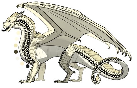 Blister is a female SandWing as pale as desert sand with white-gold scales, and a black diamond pattern down her spine Types Of Wings, Fire Fans, Wings Of Fire Dragons, Fire Art, Dragon Wings, Wings Of Fire, Fire Dragon, Dragon Drawing, A Dragon