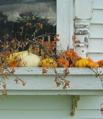 Autumn Window Box with a hint of ChiPPy-WHiTe Architectural SaLVaGe in the Background!*!*! Ideas Para Decorar Jardines, Fall Window Boxes, Fall Windows, Pumpkins And Gourds, Fall Deco, Autumn Decorating, Fabulous Fall, Window Boxes, Easy Fall