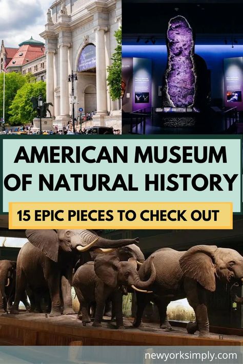 American Museum Of Natural History Nyc, Natural History Museum New York, Natural History Museum Nyc, Museum Of Natural History Nyc, Nyc Museums, Nyc Sightseeing, New York City Museums, Nyc 2023, Nyc Attractions