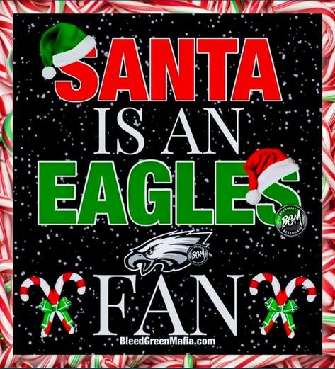 Eagles Football Sucks Quote, Eagles Christmas, Go Birds Philadelphia Eagles, Philadelphia Eagles Funny, It’s A Philly Thing Eagles, Eagles Game, Eagle Memes Funny, Philadelphia Eagles Logo, Eagles Logo