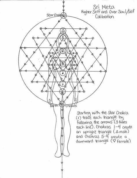 Chakra Notes, Scared Geometry, Sri Chakra, Yoga Symbols, Sacred Geometry Art, Sri Yantra, Spirit Science, Symbols And Meanings, Geometry Art