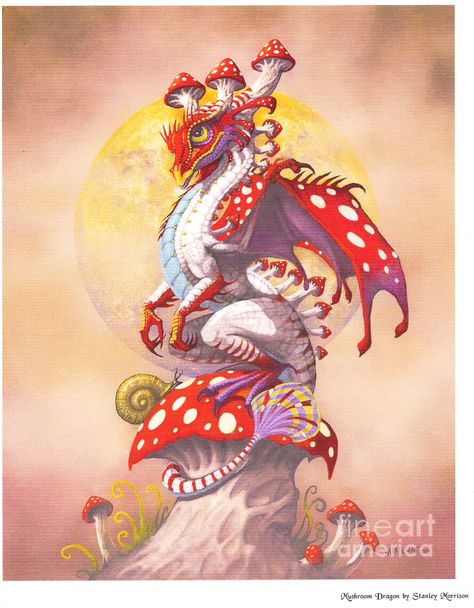 Mushroom Dragon Mushroom Dragon Art, Mushroom Dragon Drawing, Mushroom Oc, Mushroom Dragon, Bday Pictures, Mushroom People, Dnd Creatures, Pinterest Baby, Dragon Painting