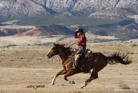 Flitner Ranch, Shell, WY - cowboy and horse running, cowboy holds hat Cowboys Riding Horses, Horse Running With Rider, Horse Galloping With Rider, Horse Rider Aesthetic, Person Riding Horse, Cowboy With Horse, Cowboy On A Horse, Cowboy Riding Horse, Cowboy And Horse