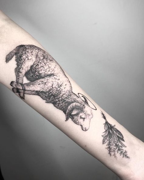 Nathan Kostechko, Lamb Drawing, Sacrificial Lamb, Lamb Tattoo, Negative Space Tattoo, Sheep Tattoo, God Tattoos, Spooky Tattoos, Real Tattoo