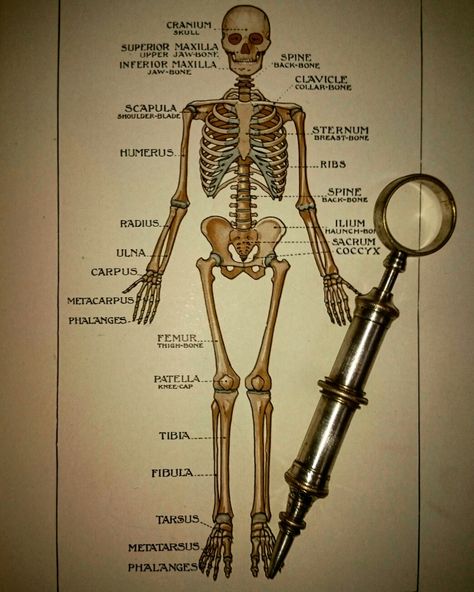 Antique 1897 weiss of london silver and brass syringe upon a vintage medical book Old Medical Aesthetic, 1800s Medicine, Lobotomy Core, Mortuary Science, Manipulative Men, Slayer Aesthetic, Old Teddy Bears, Medieval Aesthetic, Medical Instruments