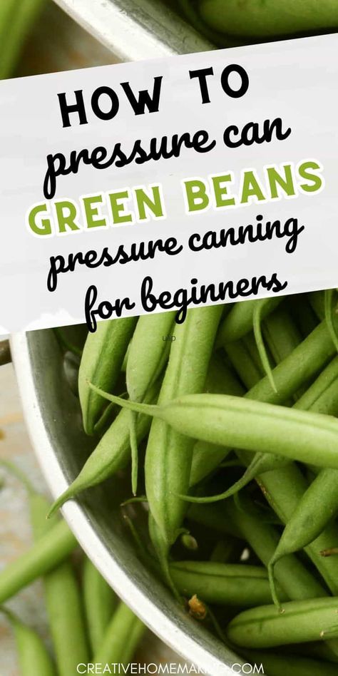 Preserve the fresh flavors of summer with our comprehensive guide to canning green beans. Learn the step-by-step process and enjoy homegrown goodness all year round." Pressure Can Green Beans, Pressure Canning Green Beans, Preserving Green Beans, Canning Green Beans, Pantry Tour, Working Pantry, Canned Green Beans, Stocked Pantry, Green Beans Mushrooms