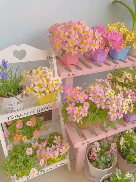 Pink Gardening Aesthetic, White Flower Arrangements, Cute Garden, Plant Aesthetic, Flower Therapy, House Plants Decor, Balcony Garden, Dream House Decor, Dream Garden