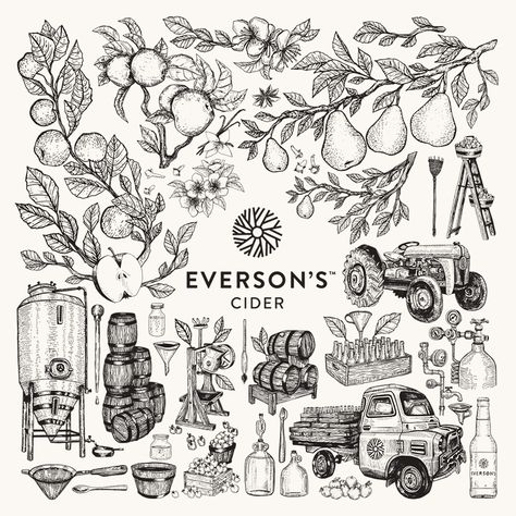 Everson's Cider asked me to create a collection of illustrations that show the process of cider making from sourcing the fruit, brewing the cider to bottling and delivery. The Illustrations are used throughout their branding with the existing Everson's Ci… Cider Illustration, Cider Branding, Homemade Board Game, Fruits And Vegetables Illustration, Cider Label, Hill Illustration, Cider Bar, Craft Cider, Diy Outdoor Bar