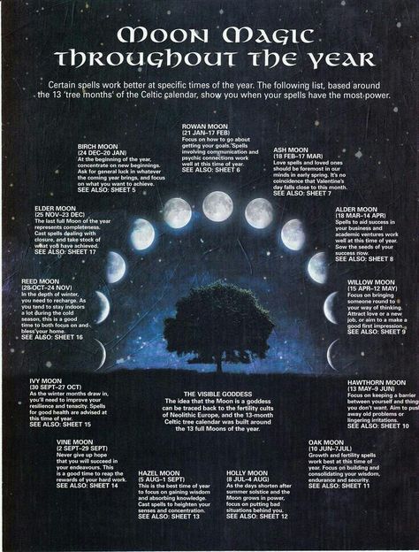 CONSULTING THE MAGIC OF MOON PHASES:   on flickr.com Moon Child Aesthetic, Witch Business, Language Symbols, Witch Ideas, Lisa White, Lunar Magic, Celtic Moon, Magia Das Ervas, Fantasy Ring