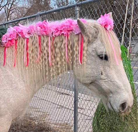 Hairstyles Flowers, Tail Hairstyle, Horse Flowers, Horse Mane, My Horse, Mane N Tail, My Pinterest, Flower Clip, Diy Flowers