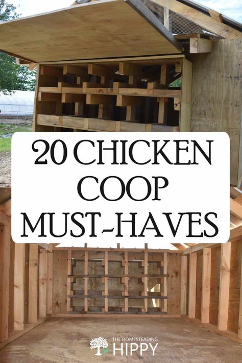 20 Chicken Coop, Inside Chicken Coop, Small Chicken Coops, Walk In Chicken Coop, Cute Chicken Coops, Coop Run, Chicken Raising, Chicken Coop Garden, Backyard Chicken Coop Plans